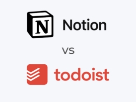 The Notion and Todoist logos.